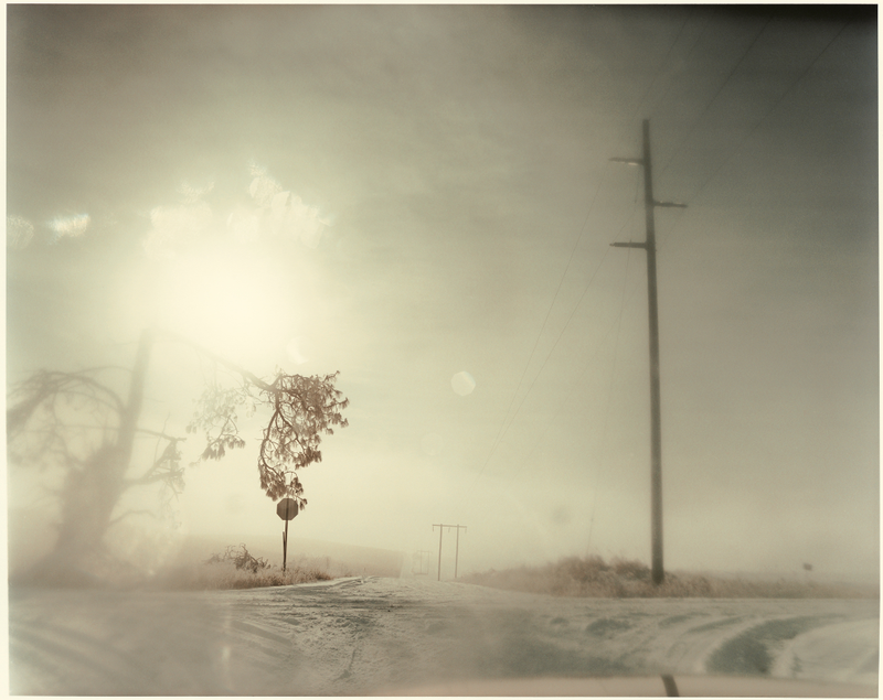 Illustration for article titled These Iconic Road Trips Make You Want To Grab a Camera and Just Drive